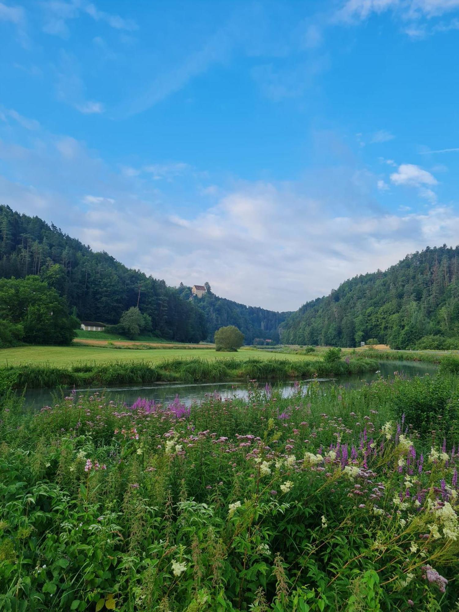 Waldpension Rabeneck 바이셴펠트 외부 사진